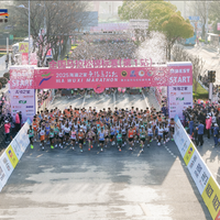 2026热门马拉松中签率再创新低，头部赛事普遍跌破10%