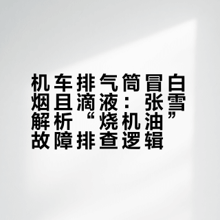 员工就怕老板懂技术！张雪解决客户机车烧机油问题！简直笑哭了的微博视频