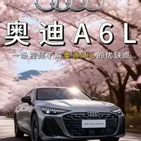 奥迪A6L车型深度解析：从官车标杆到年轻化转型的优劣势分析