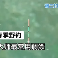 春季野钓调漂技巧：调平钓三法详解