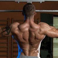 引体向上的核心价值与零基础进阶指南