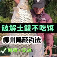运江土鲮实战分析：高警惕性鱼情的隐蔽钓法破解
