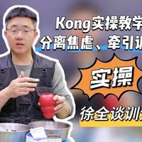 Kong益智玩具使用指南：缓解焦虑与牵引训练实操