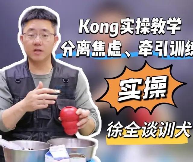 Kong益智玩具使用指南：缓解焦虑与牵引训练实操