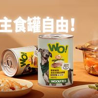 宠物圈新风向：姜黄素成“黄金营养素”？