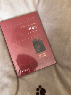 《茶花女》：复古封面下的经典魅力