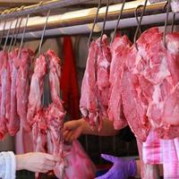 2026年猪肉价格走势预判：供需双变下的市场分析与应对策略