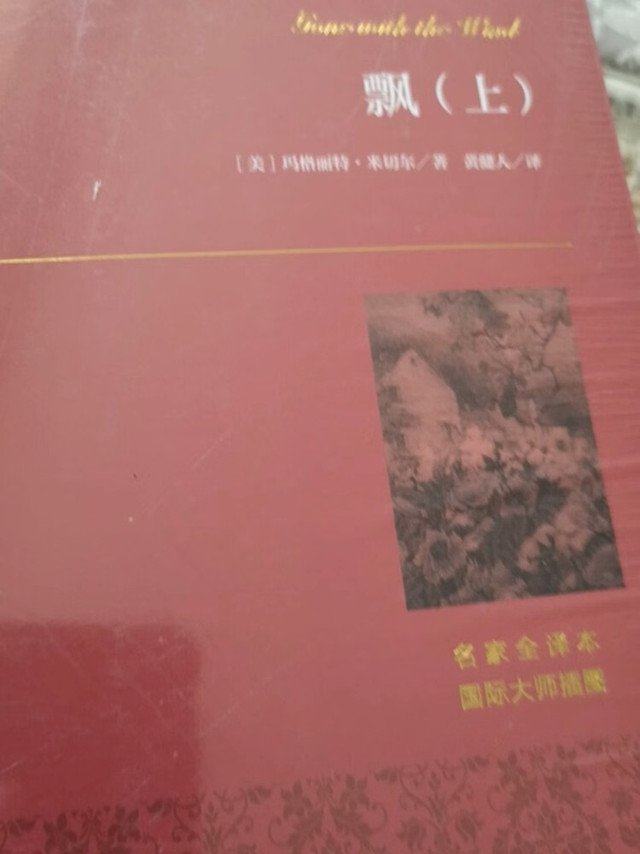 《飘》上册：沉浸美国南方岁月