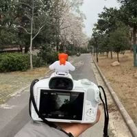 佳能 EOS R50｜新手闭眼入的高颜值微单，随手拍都是氛围感大片