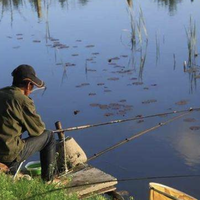 春季野钓爆护秘籍：掌握鱼群移动规律，精准调漂连竿上鱼