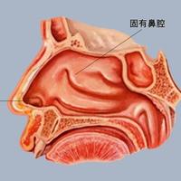 儿童过敏性鼻炎的科学干预：鼻腔冲洗的作用与操作指南
