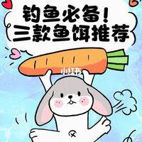 钓鱼人必看🎣3 款野钓鲫鱼神饵！