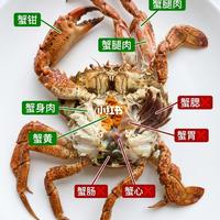 东海石头蟹可食部位与食用注意事项