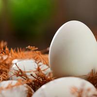 鹅蛋营养全解析：核心数据、六大功效与科学食用指南