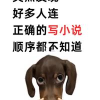 突然发现好多人连正确的写小说顺序都不知道