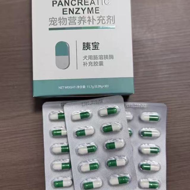谁懂啊！胰腺炎狗狗的干饭救星✨咕陆胰宝真的太香