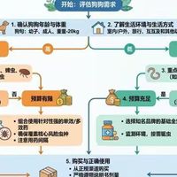 狗狗驱虫药排行榜：2026年家用前五名测评与选购指南
