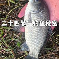 野钓老手：谈春季6大节气鱼情与实战技巧！