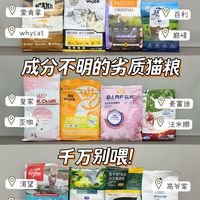 抄作业！4款高性价比长肉猫粮测评