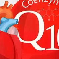 辅酶Q10哪个牌子好？2026年十大高口碑品牌实测推荐