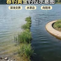 春季钓鱼实操指南：选位、逗钓与饵料调漂全解析
