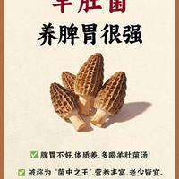羊肚菌养脾胃：10种黄金搭配与烹饪要点