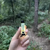 今年买到最好玩的露营装备