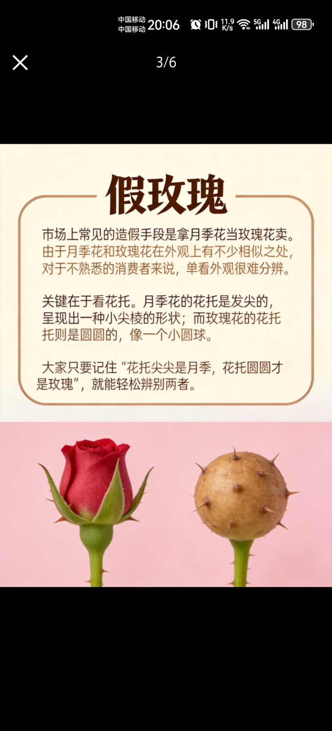 基础健康