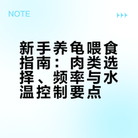 新手喂龟不踩雷！保姆级吃肉攻略来啦！