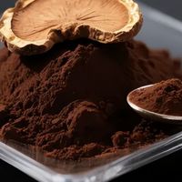 灵芝孢子粉品牌榜单：2026年度中国十大高破壁高吸收品牌最新盘点