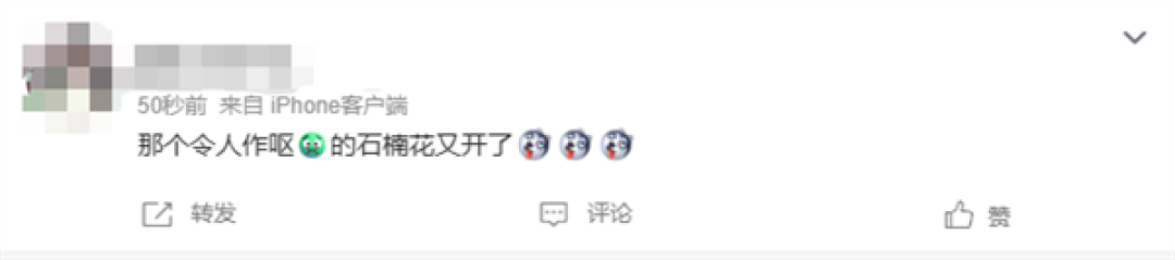左右为“楠”的季节又到了 石楠花香惹争议 网友:闻到就会干呕