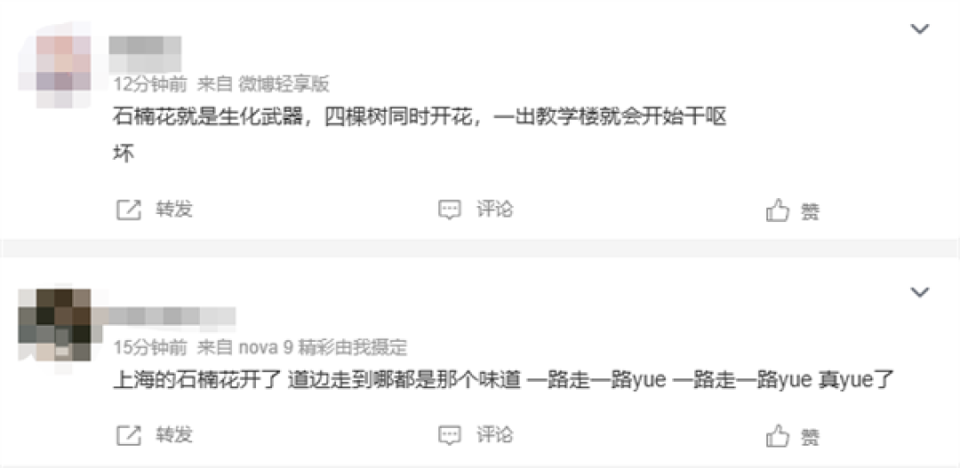 左右为“楠”的季节又到了 石楠花香惹争议 网友:闻到就会干呕