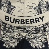 Burberry三条战马围巾测评🔥｜价格差2000元，