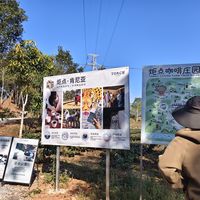 普洱炬点咖啡庄园｜干货满满的咖啡研学之旅