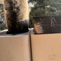 300元净化器！孩子狗毛五级过敏高性价比自