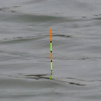 野钓调漂实战指南：重铅到底与梅州钓法解析