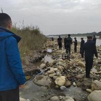 都江堰市水务局辟谣“金马河淘出800克狗头金”：系AI拼接不实视频，已删除并依法处理