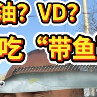 吃鱼油?补VD?吃带鱼就行!