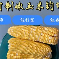 自制嫩玉米钓饵，能打窝能挂钩还能当饭吃