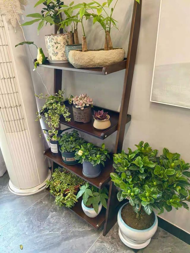 实木书架立式落地多功能家用置物架