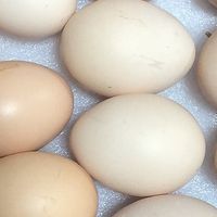 选购生鲜技巧:新鲜健康带回家