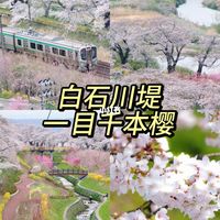 真实自摄！！（附机位攻略）