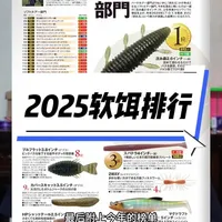 2025年度路亚软饵推荐及中日使用环境差异分析