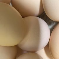 超市挑鸡蛋的实用技巧