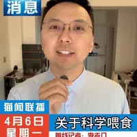 科学养猫指南：主食与零食冻干的区分及喂食策略