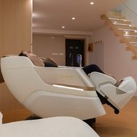 2026 年度选购指南：从“肌肉放松”到“AI 养身”