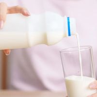 一喝牛奶就闹肚子?别急着“戒奶”,你可能冤枉它了|减油增豆加奶