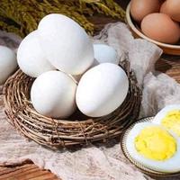 鹅蛋不只是“大号鸡蛋”：六大营养维度解析