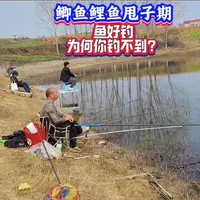 鲫鱼鲤鱼甩子期规律与垂钓策略分析