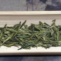 试茶：西湖龙井之群体种（龙冠老树春晓）